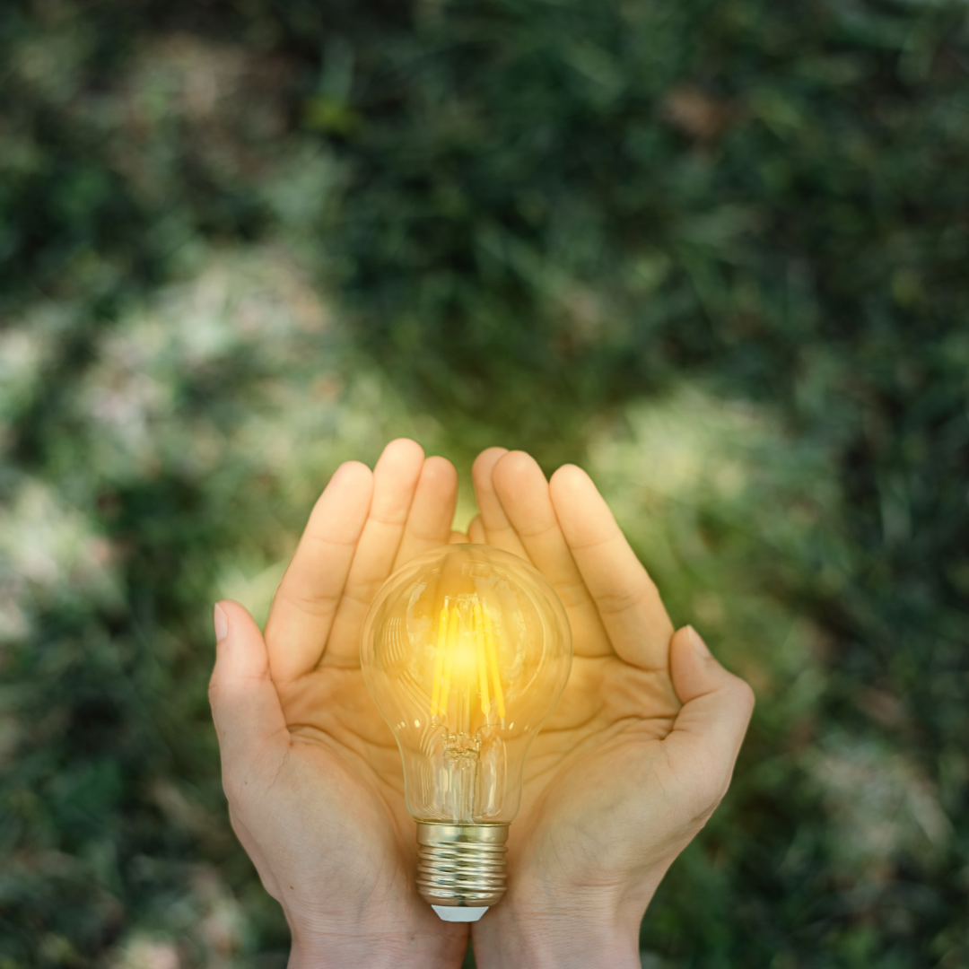 Signposting: Autistic-Led Organisations, Support and Resources