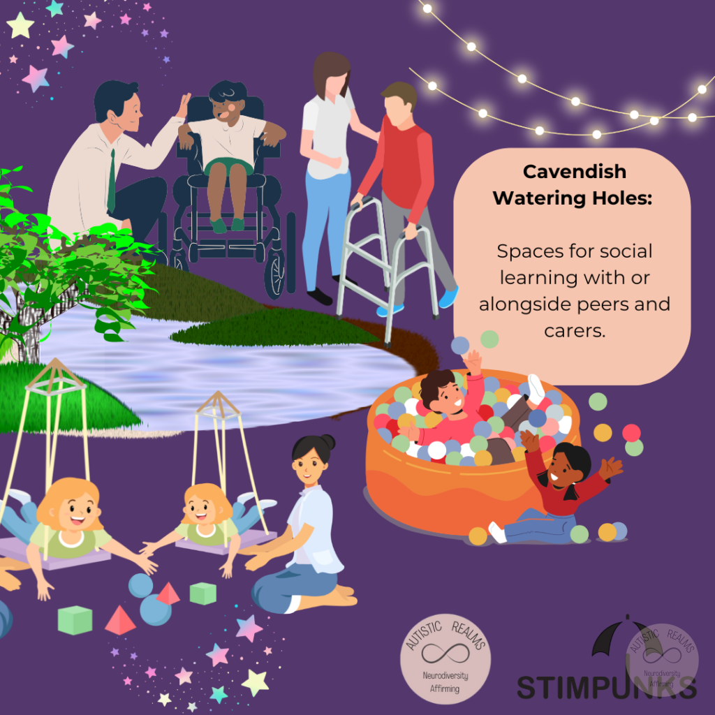 Image: person in wheenchair and with walking frame, in ball pit, playing in swings, lights, stars. Text: Cavendish Watering Holes: Spaces for social learning with or alongside peers and carers.