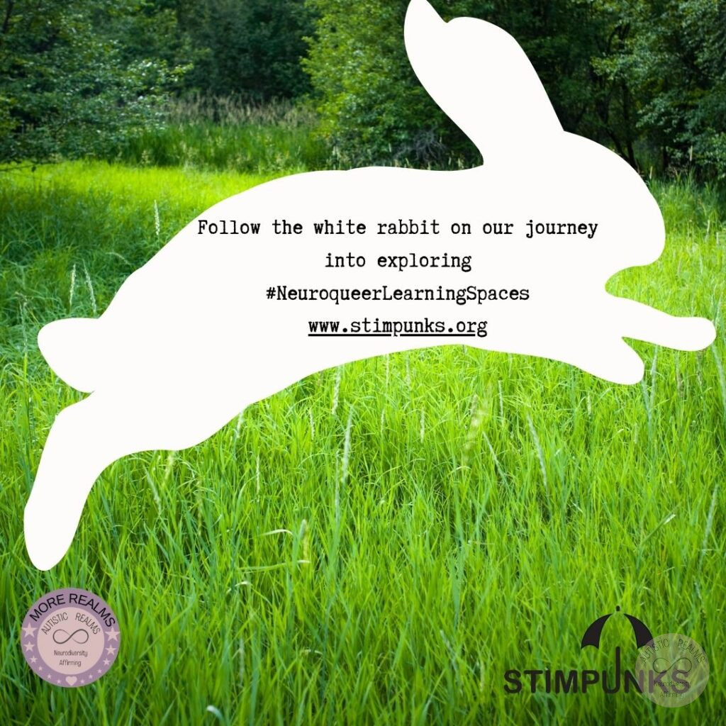 Image of white rabbit across grass Text: Follow the white rabbit on our journey into exploring #NeuroqueerLearningSpaces www.stimpunks.org