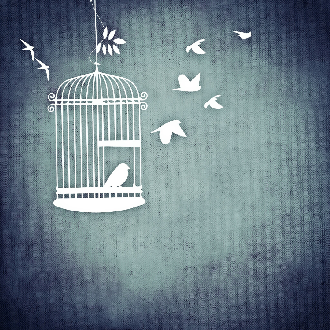 Image birds flying out of cage. View more by Alexas_Fotos from pixabay CANVA