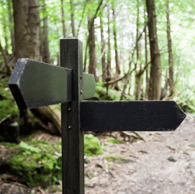 Signpost in forest