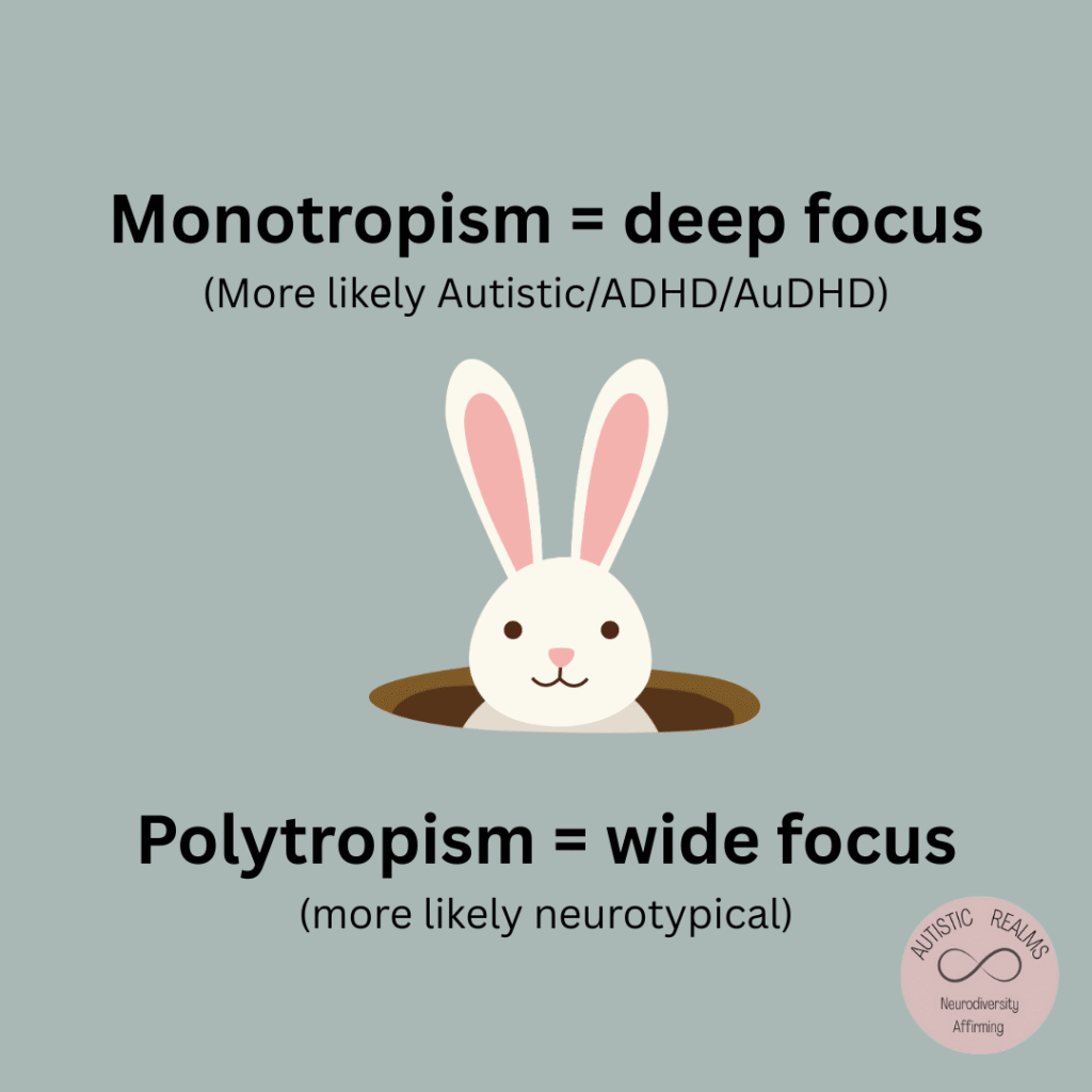 Illustration comparing monotropism and polytropism. At the top, the text reads “Monotropism = deep focus (more likely Autistic/ADHD/AuDHD)” above a cartoon white rabbit peeking out of a hole. Below, the text reads “Polytropism = wide focus (more likely neurotypical).” Bottom right shows the Autistic Realms logo with the infinity symbol and the words “Neurodiversity Affirming.”