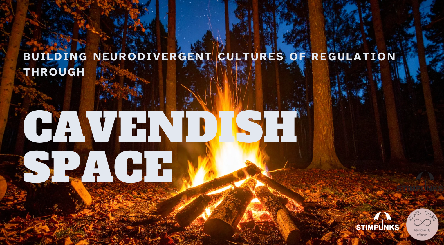 BUILDING NEURODIVERGENT CULTURES OF REGULATION THROUGH CAVENDISH SPACE Photo of a campfire in a forest