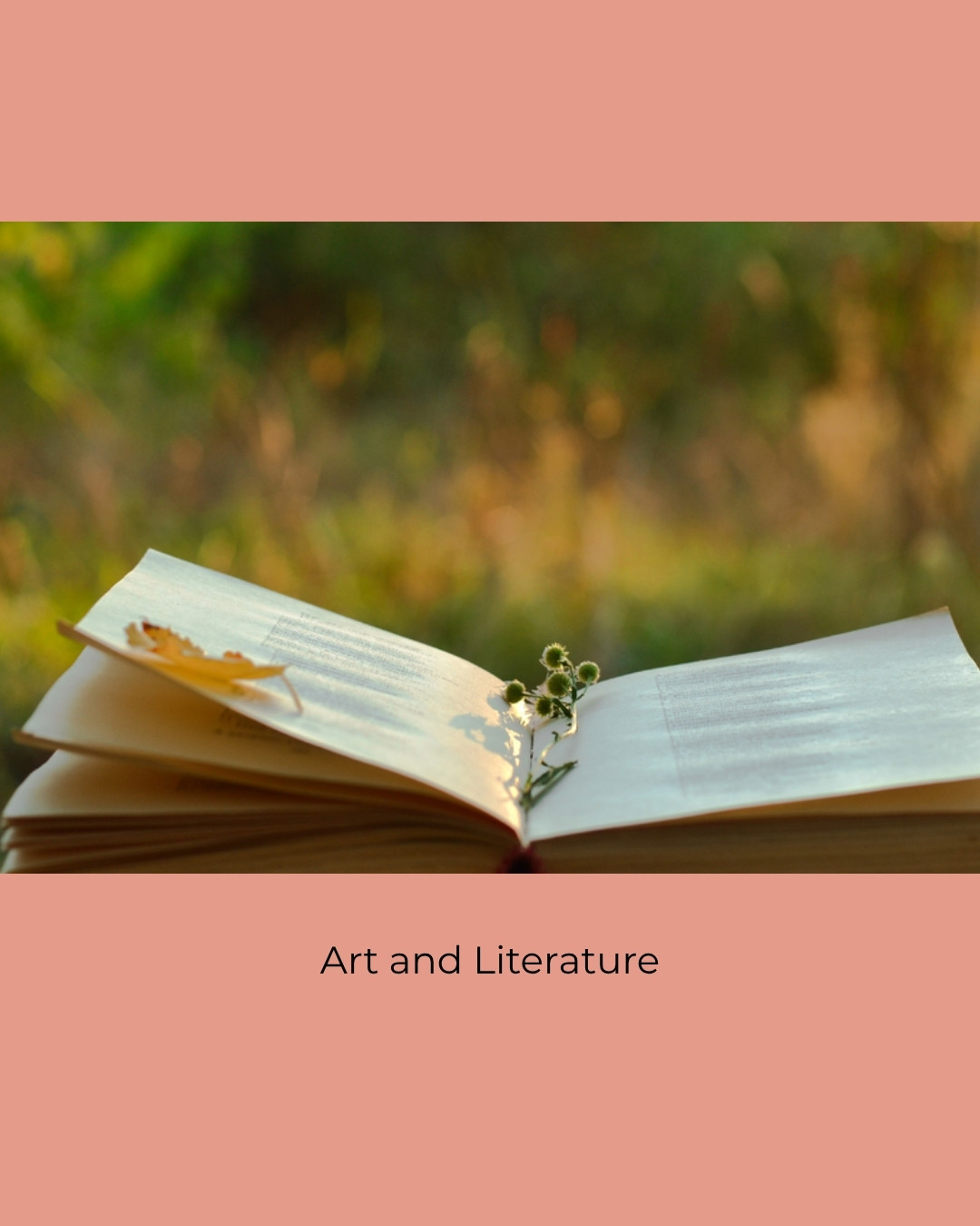 An open book with pressed leaves and flowers outdoors. Caption: Art and Literature.