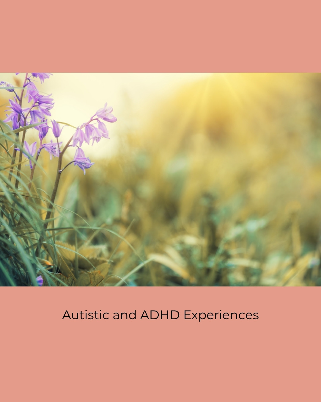 Purple bluebells and grasses glowing in warm sunlight. Caption: Autistic and ADHD Experiences.