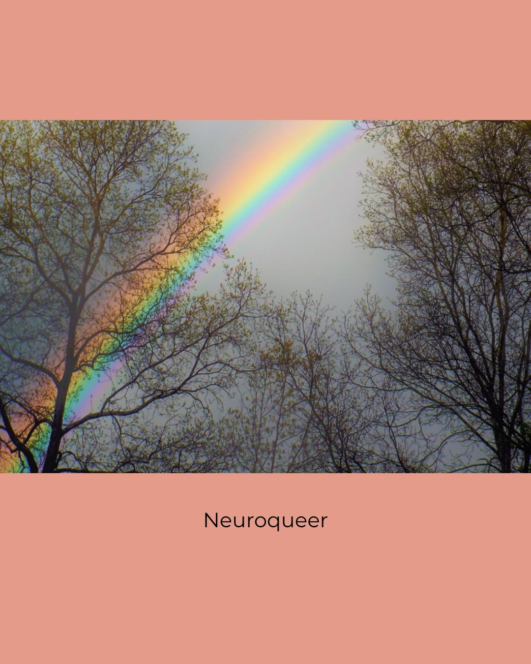 A rainbow arching through bare spring trees. Caption: Neuroqueer.