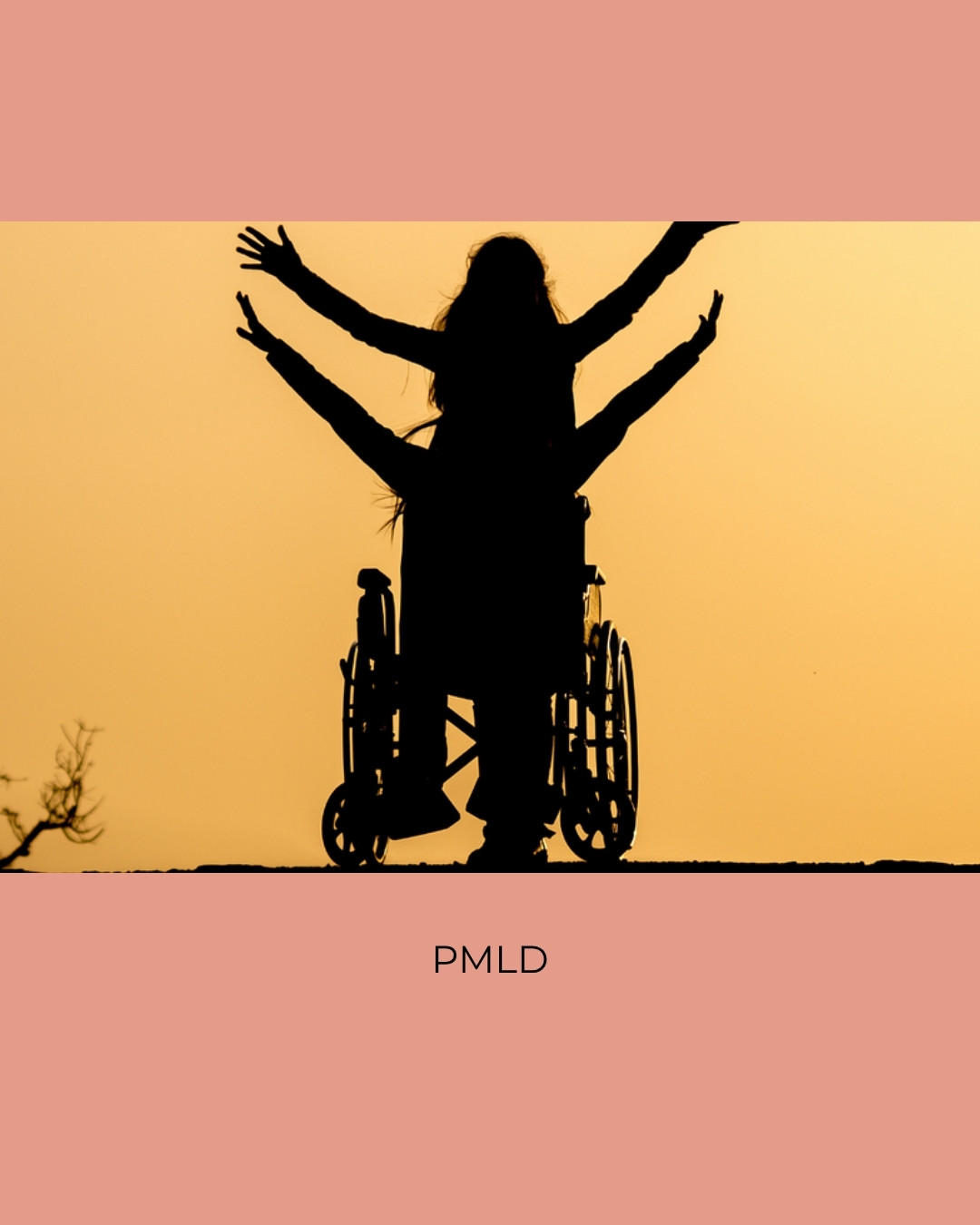 Silhouettes of people in wheelchairs raising their arms against a golden sunset. Caption: PMLD.