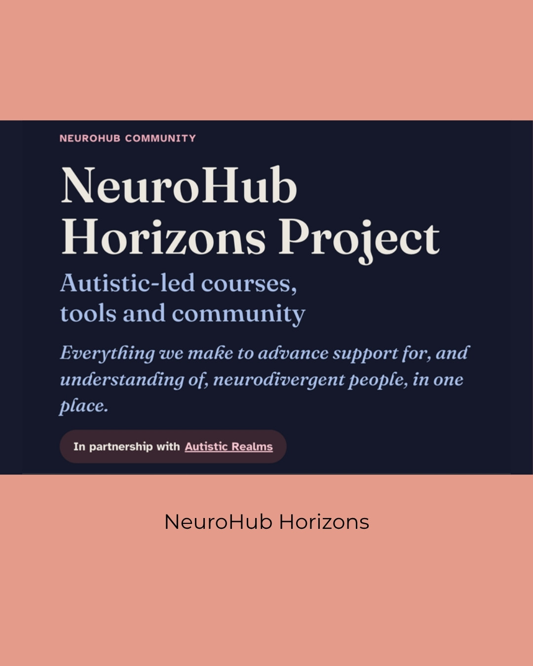 NeuroHub Horizons Project: Autistic-led courses, tools and community, in partnership with Autistic Realms. Caption: NeuroHub Horizons.
